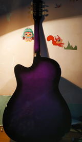 Anubhav Gupta review photo