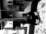 Siddhartha Nandy review photo