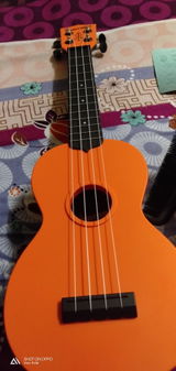 Ritika Surin review photo