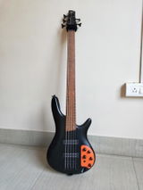 Bishal Debnath review photo