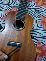Lucretia Hazarika review photo