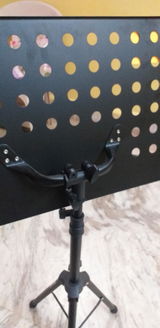 Mickey Dean review photo