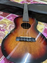 Insiya Haidery review photo