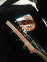 Kazi Y review photo