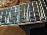 Dhruv Dave review photo