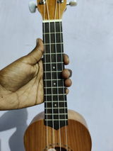 Aniruddh Maurya review photo