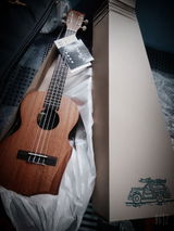ruchika pharswan review photo