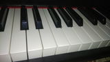 Kay review photo