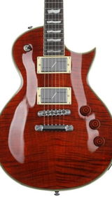 mr guitar guts review photo