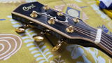 Kaushal Suvarna review photo