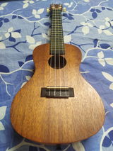 Dhwani review photo