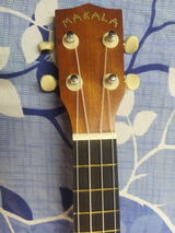 Dhwani review photo