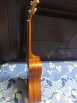 Dhwani review photo