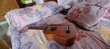 saisinduri vangala review photo