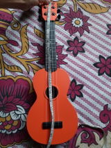 Partha Khanikar review photo