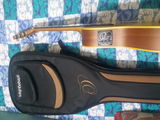 Gigi Kaushik review photo