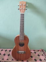 Raghupati Mondal review photo
