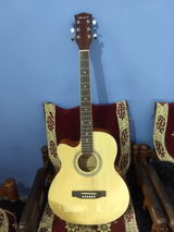 shashi spc review photo