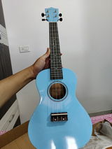 Bipan review photo