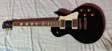 Voller D’costa review photo