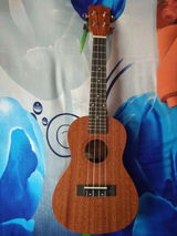 Dipa Kumari review photo