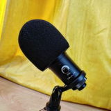 Saurabh Benjamin Hansdak review photo
