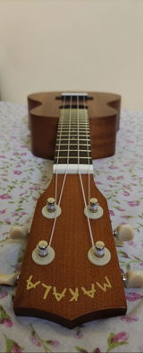 Sandesh Naik review photo