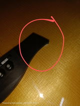 A.P. review photo