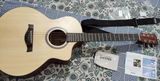Shantanu Deb review photo