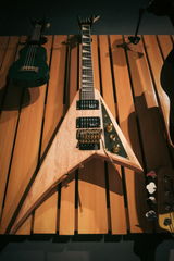 Larry Lobo review photo