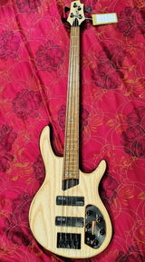 Sandipan Giri review photo