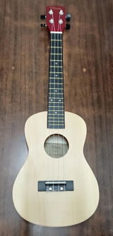 Ayush Patnaik review photo