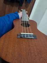 Vivek review photo