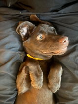 Sarah Seeger review photo