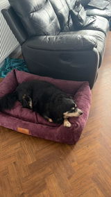 Catherine Walsh review photo