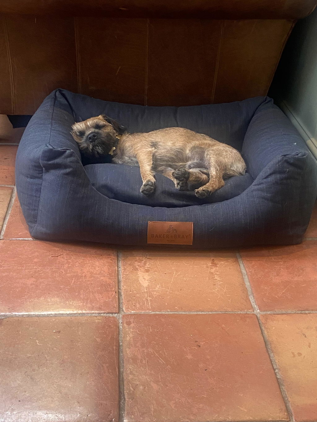 The Ultimate - Eco Friendly Orthopaedic Luxury Dog Bed, Slate Grey