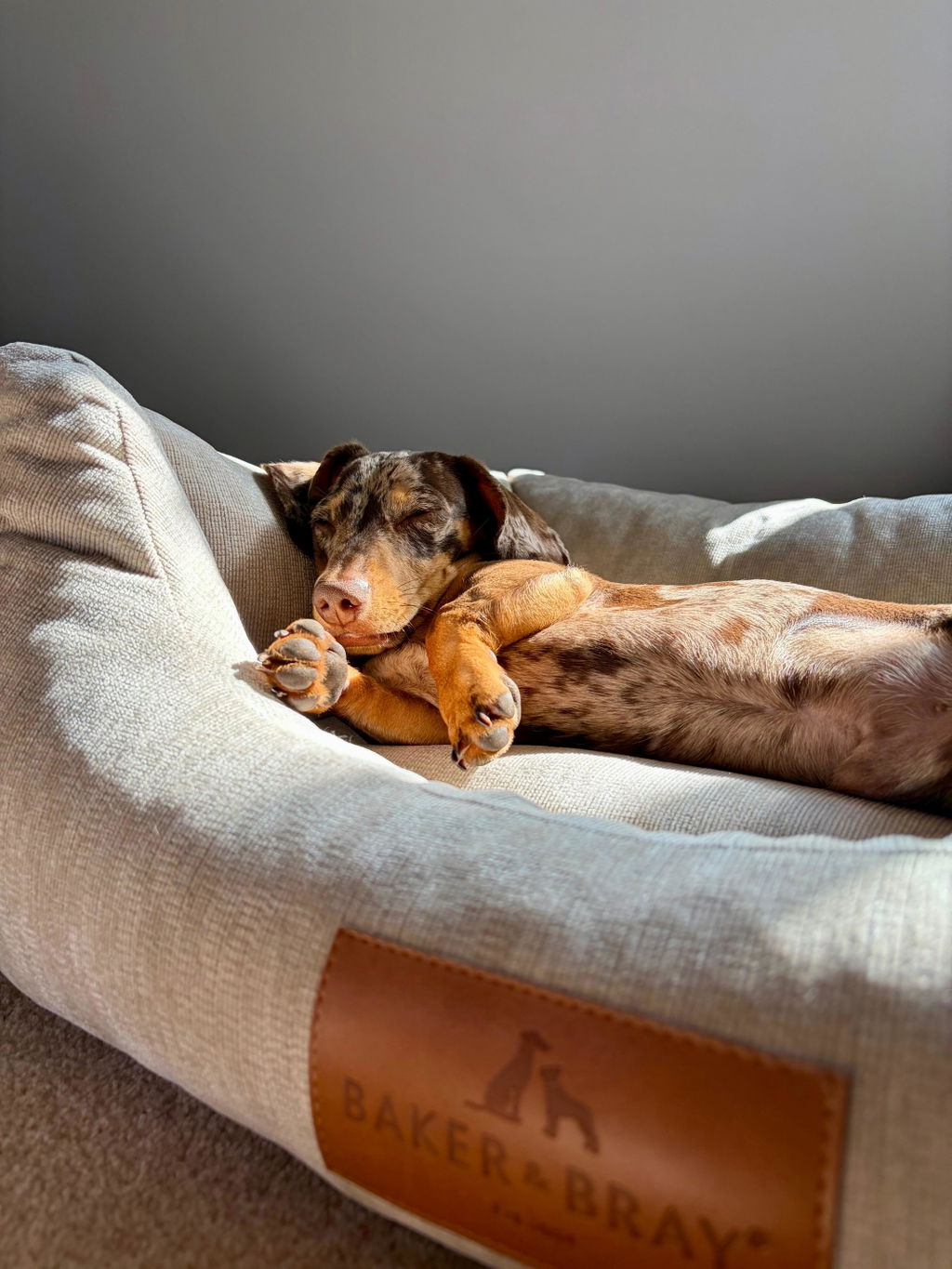 The Ultimate - Eco Friendly Orthopaedic Luxury Dog Bed, Oatmeal Beige