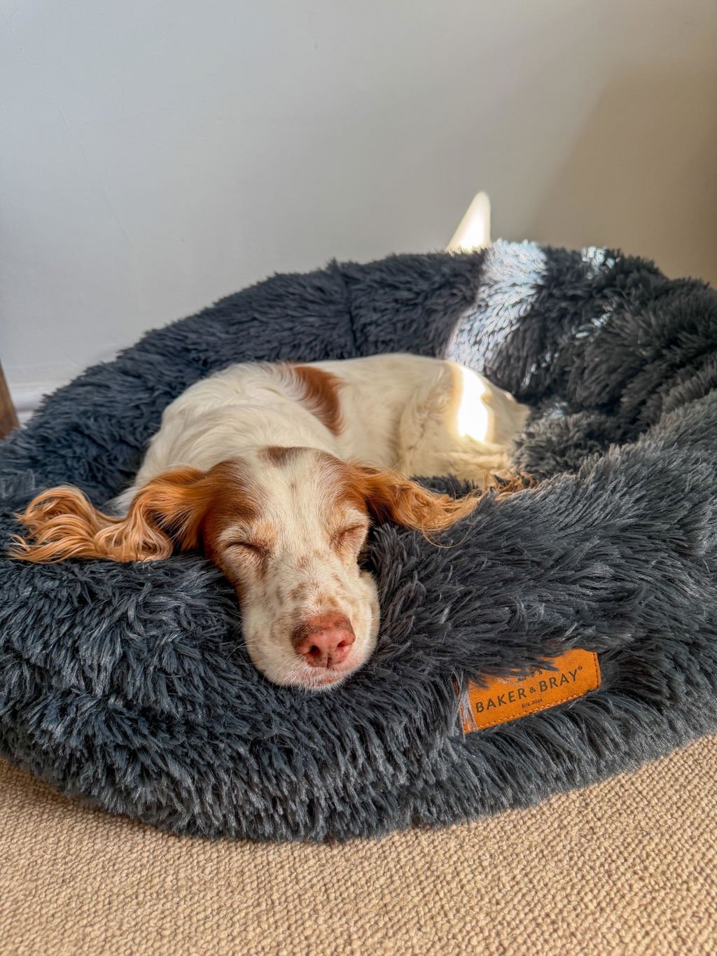 The Donut - Eco Friendly Luxury Calming Donut Dog Bed, Dark Grey