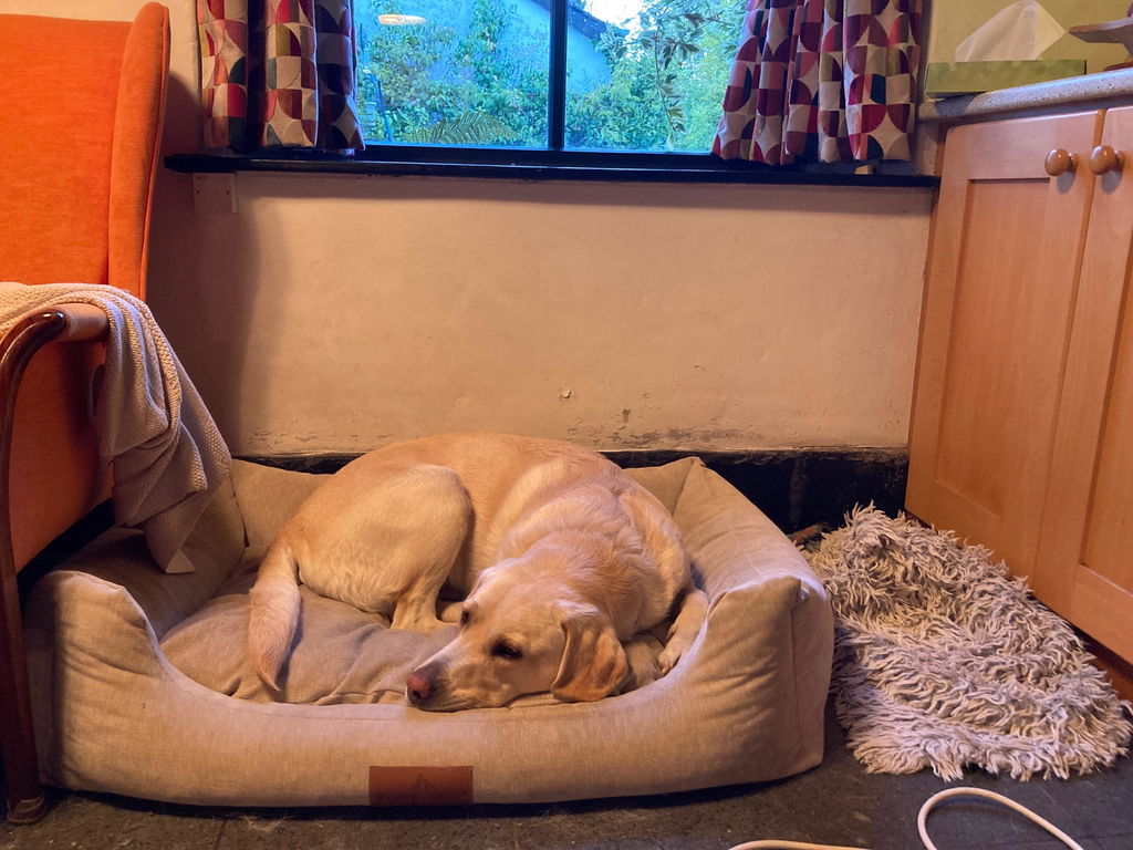Interchangeable Spare Covers For The Ultimate Eco Friendly Orthopaedic Luxury Dog Bed