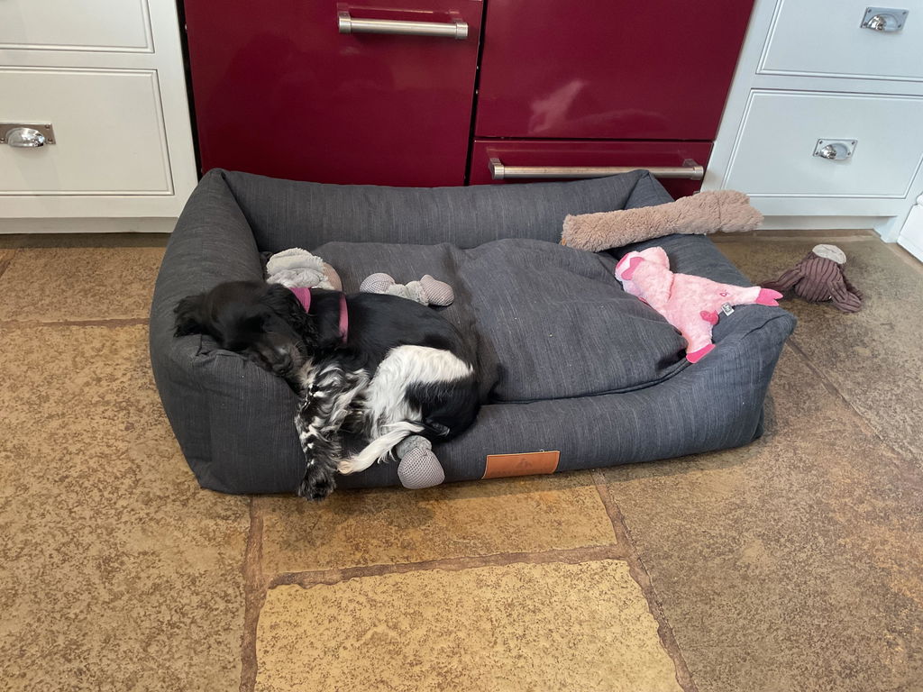 The Ultimate - Eco Friendly Orthopaedic Luxury Dog Bed, Slate Grey