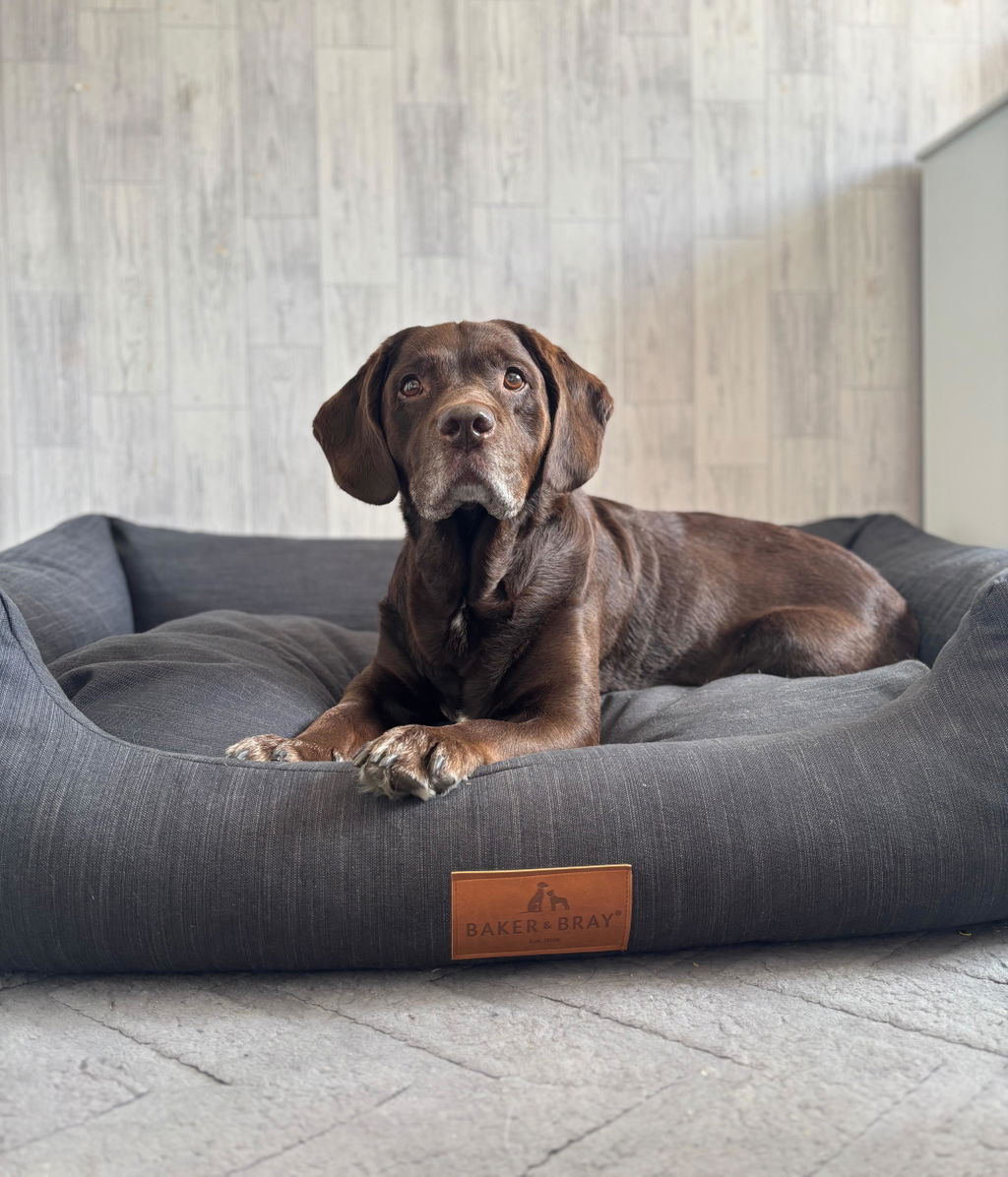 The Ultimate - Eco Friendly Orthopaedic Luxury Dog Bed, Slate Grey