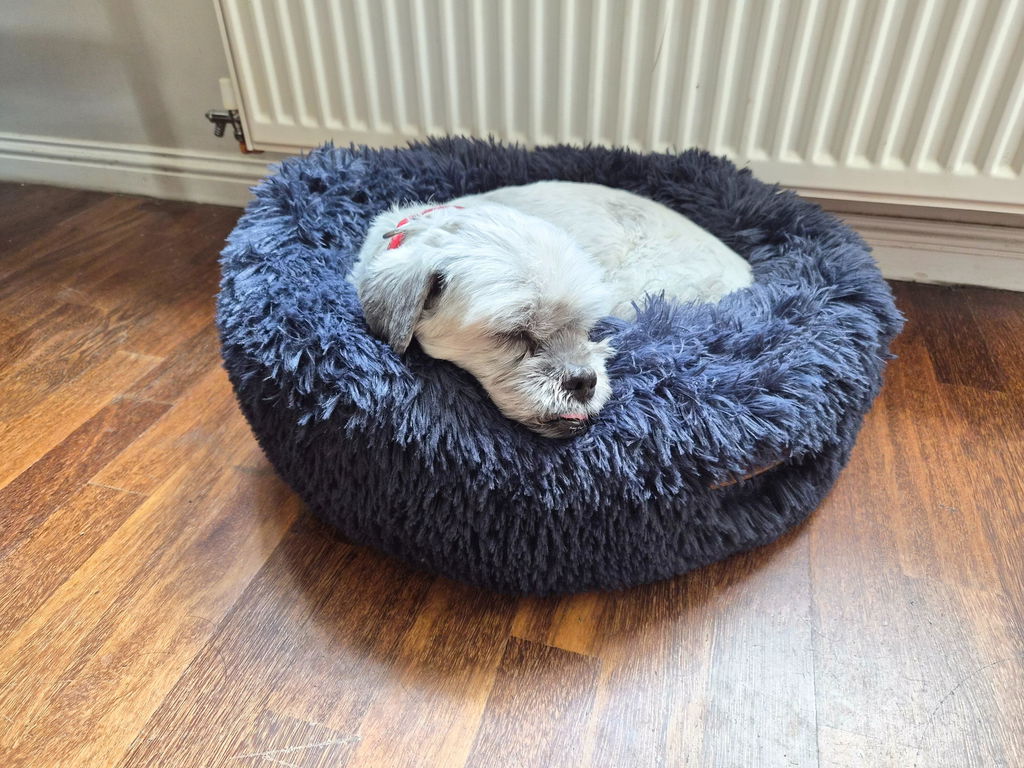 The Donut - Eco Friendly Luxury Calming Donut Dog Bed, Navy