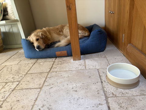 Photo from Alison Hardingham