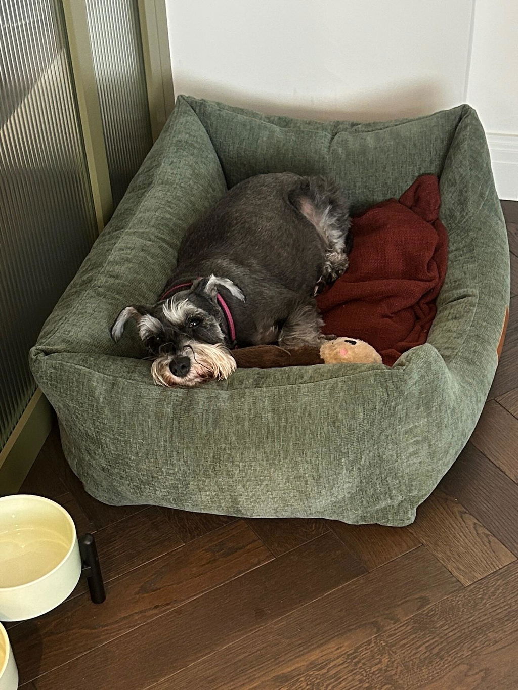 Interchangeable Spare Covers For The Ultimate Eco Friendly Orthopaedic Luxury Dog Bed
