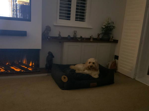 A dog on a Baker & Bray bed, photographed by Karen Garnett