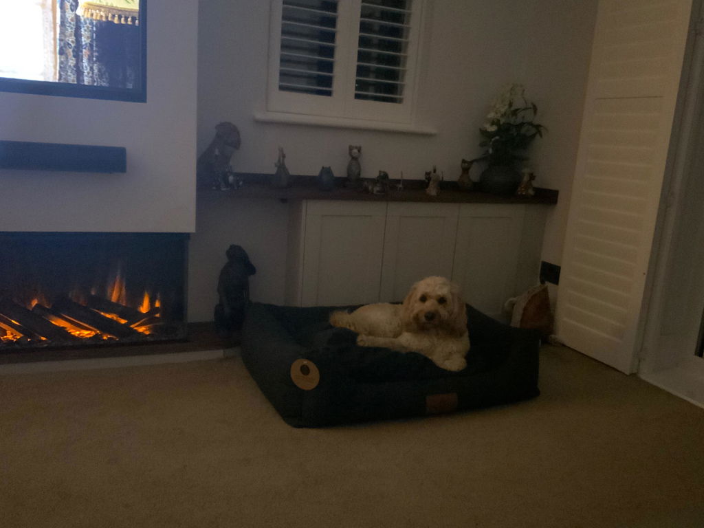 The Ultimate - Eco Friendly Orthopaedic Luxury Dog Bed, Slate Grey