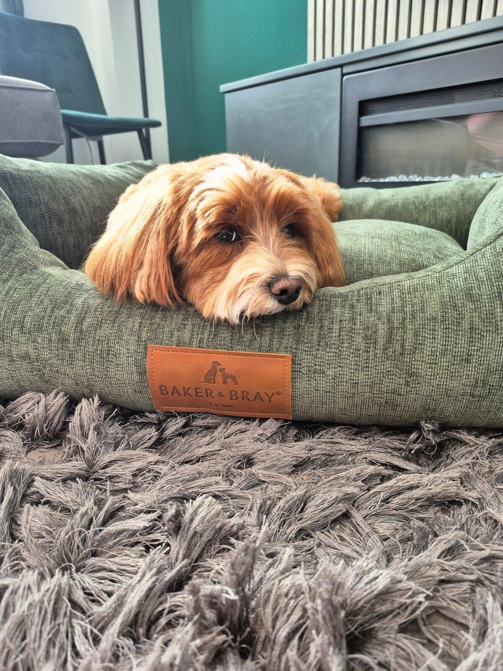 The Ultimate - Eco Friendly Orthopaedic Luxury Dog Bed, Sage Green