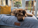 Customer photo from Sharon foxhall