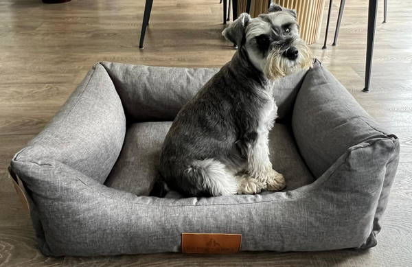 A dog on a Baker & Bray bed, photographed by Customer