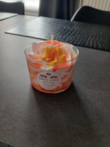 Delphine review photo